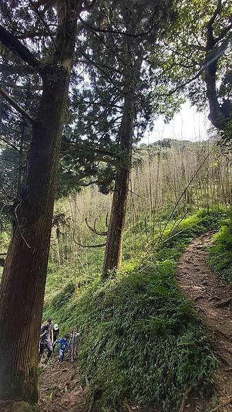 20221030阿里山大凍山步道⛰💪🙆_221031_8.jpg