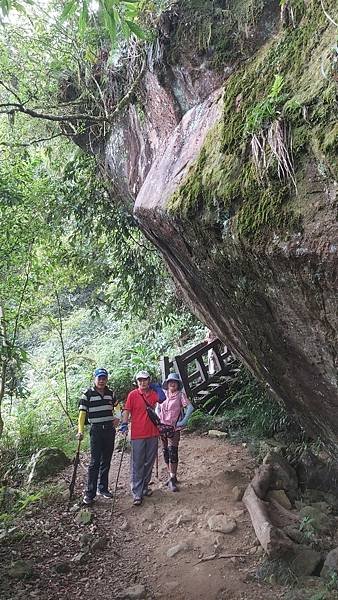 20221030阿里山大凍山步道⛰💪🙆_221031_7.jpg