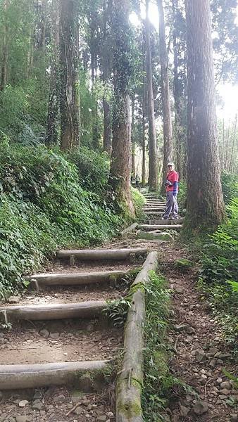 20221030阿里山大凍山步道⛰💪🙆_221031_11.jpg