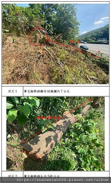 113.01.29宣導資料 從事樹枝修剪作業遭壓傷致死災害-