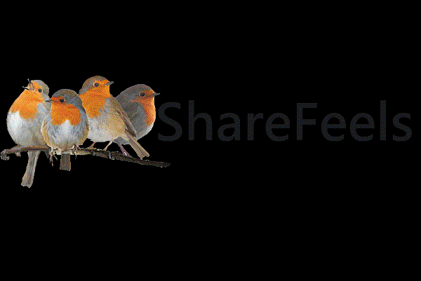 Sharefeels