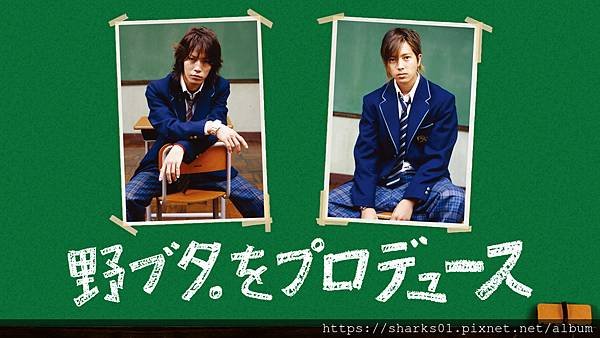 改造野豬妹.jpg