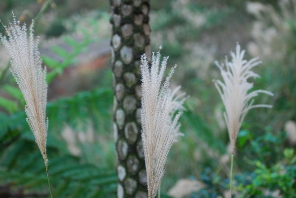 DSC_5600_調整大小.JPG