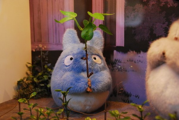 ToToRo