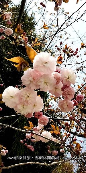 timeline_20180430_110513.jpg