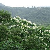 DSC02320.JPG