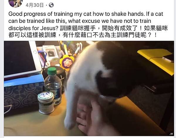 Baby貓小門徒.jpg
