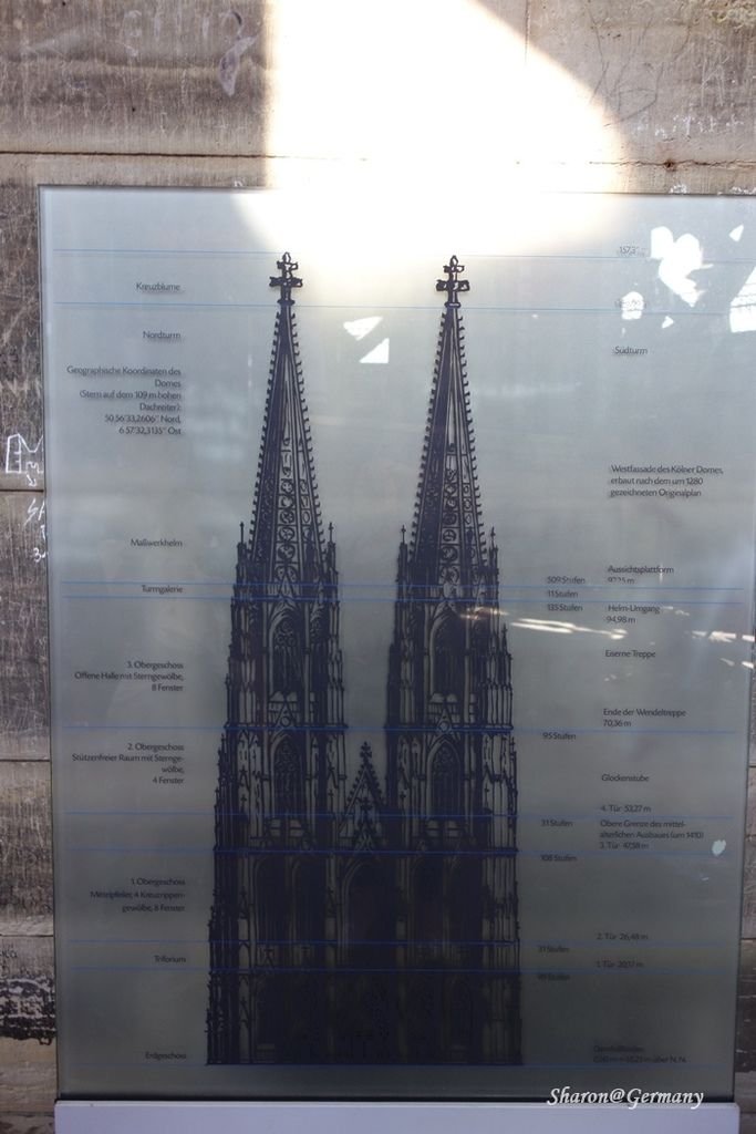 DSC00914.JPG