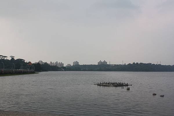 IMG_4723.JPG