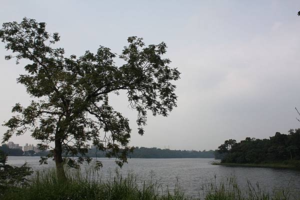 IMG_4736.JPG