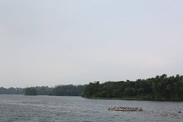 IMG_4742.JPG