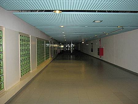 sg19.jpg