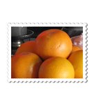 2010-02-13-3