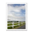 2011-11-06-3