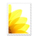 2011-03-20-3