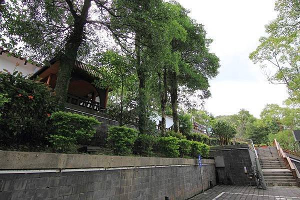 坪林 (1).JPG