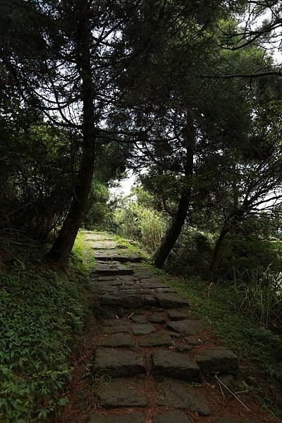夢幻湖 (8).JPG