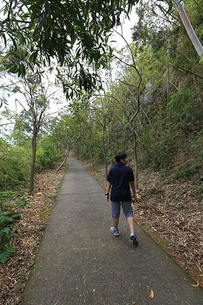 大崗山 (8)