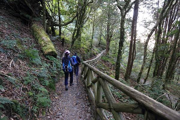 稍來山 (20).JPG