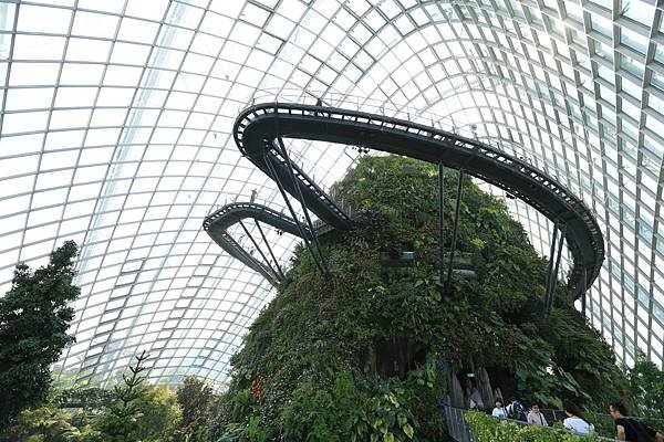 新加坡-1 (11).JPG