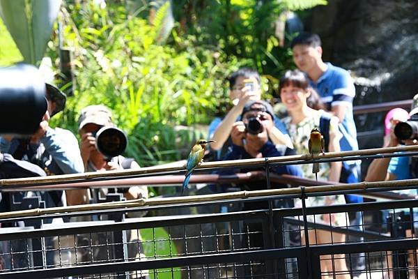 木柵動物園 (11).JPG