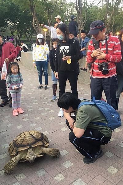 S__9158692-N.jpg