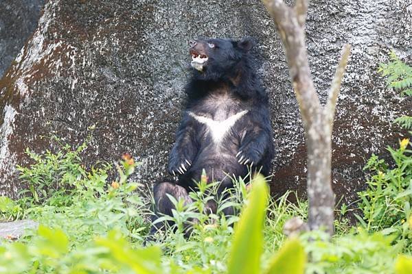 台北市立動物園 (14).JPG