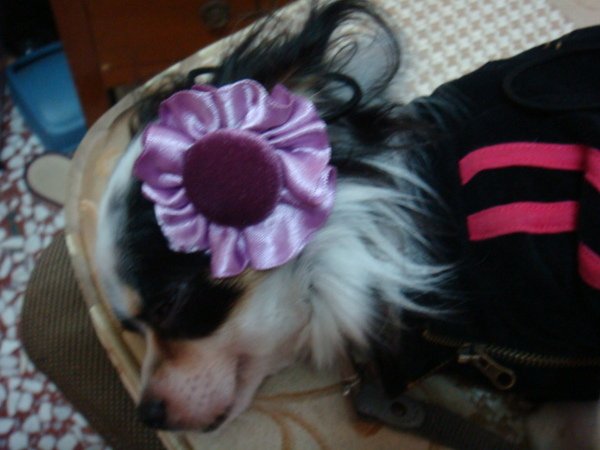 DSC01244.JPG
