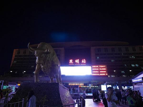 P1000517.JPG