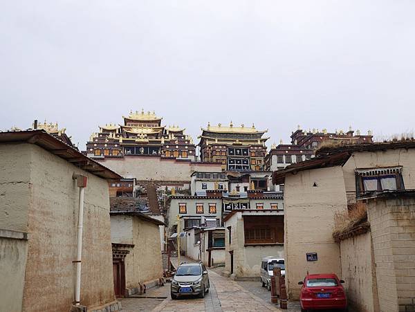 P1000896.JPG