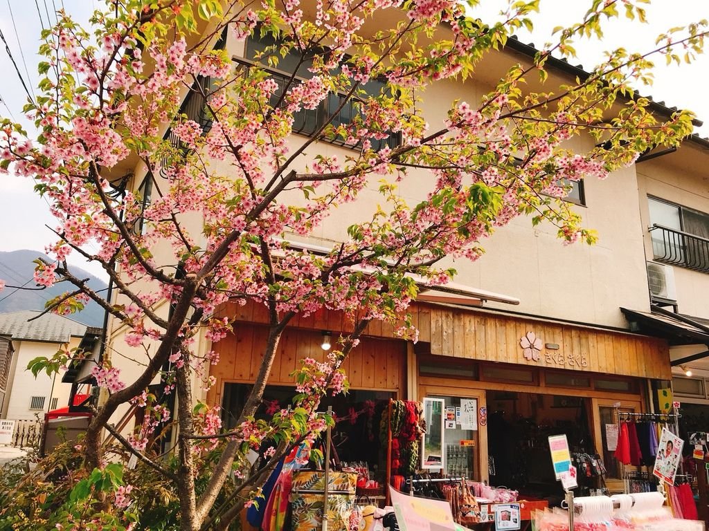 20180401 來去湯布院上day3_180403_0252.jpg
