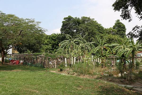 高雄楠梓六號公園(原水果公園)_36.JPG