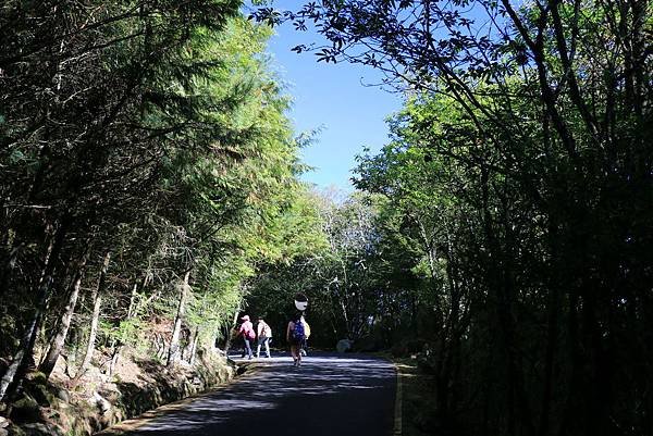 103年10月12日第廿九次露營活動(三)-麟趾山暨玉山登山口_004.JPG