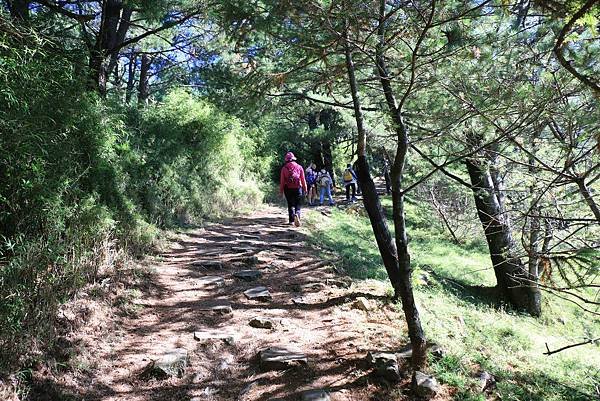 103年10月12日第廿九次露營活動(三)-麟趾山暨玉山登山口_016.JPG