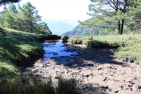 103年10月12日第廿九次露營活動(三)-麟趾山暨玉山登山口_026.JPG