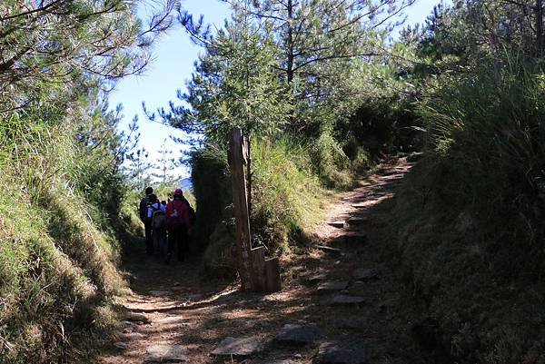 103年10月12日第廿九次露營活動(三)-麟趾山暨玉山登山口_032.JPG