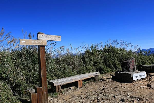 103年10月12日第廿九次露營活動(三)-麟趾山暨玉山登山口_055.JPG