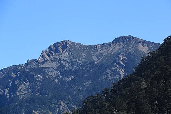 103年10月12日第廿九次露營活動(三)-麟趾山暨玉山登山口_176.JPG