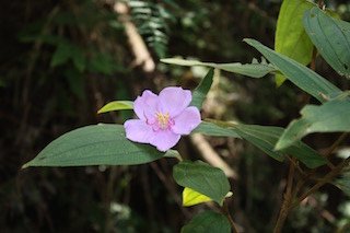 IMG_9170.jpg