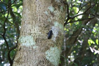 IMG_9201.jpg