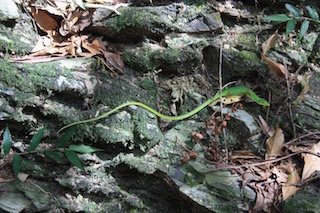 IMG_9240.jpg