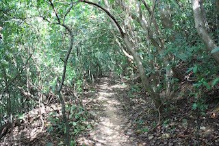 IMG_9244.jpg