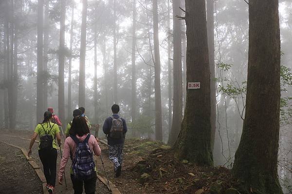 104年09月27日特富野古道健行00014.JPG