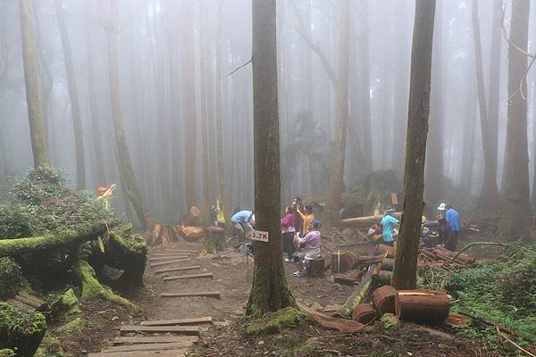 104年09月27日特富野古道健行00050.JPG