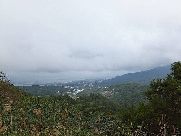 20120107-74.JPG