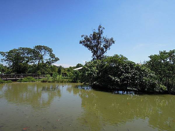 20120819-07