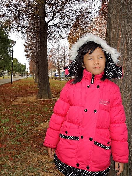 20150111-12.JPG