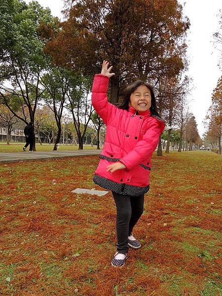 20150111-15.JPG