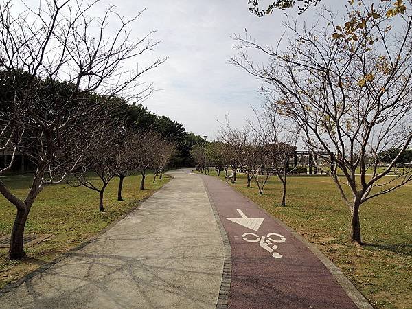 20150111-27.JPG