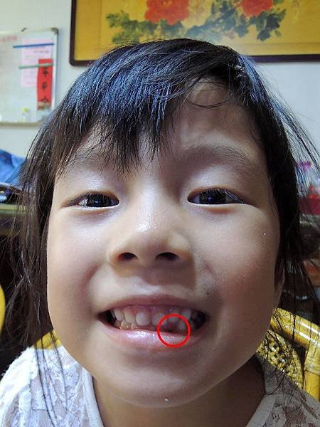 20150606-06.JPG